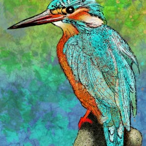 Debra Whelan Art - Kingfisher