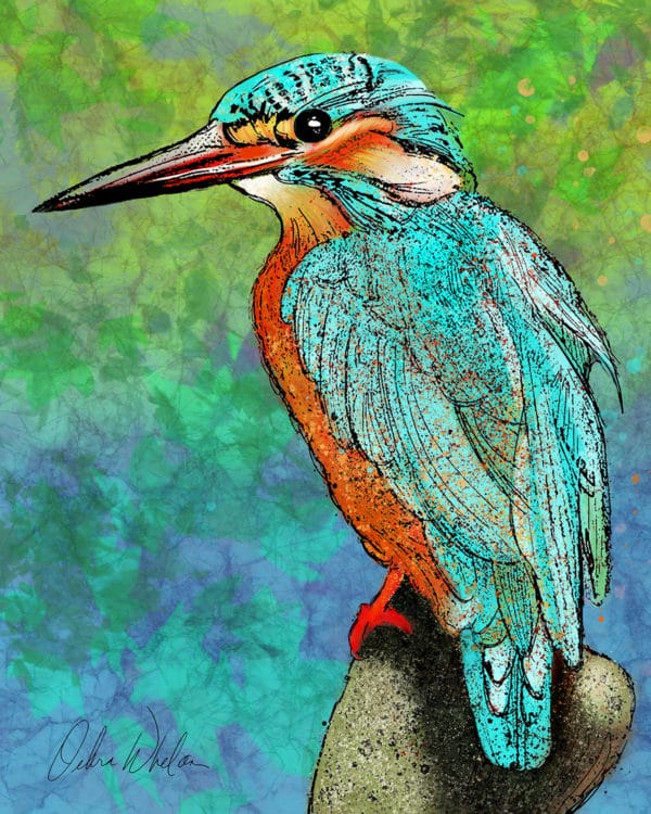 Debra Whelan Art - Kingfisher