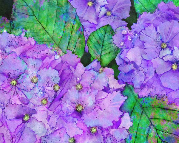 Debra Whelan Art - Purple Hydrangeas
