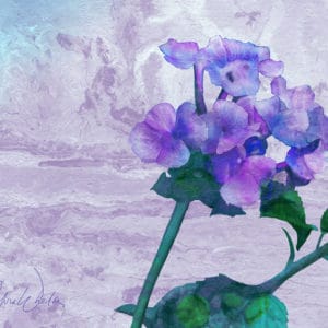 Debra Whelan Art - Single Purple Hydrangea