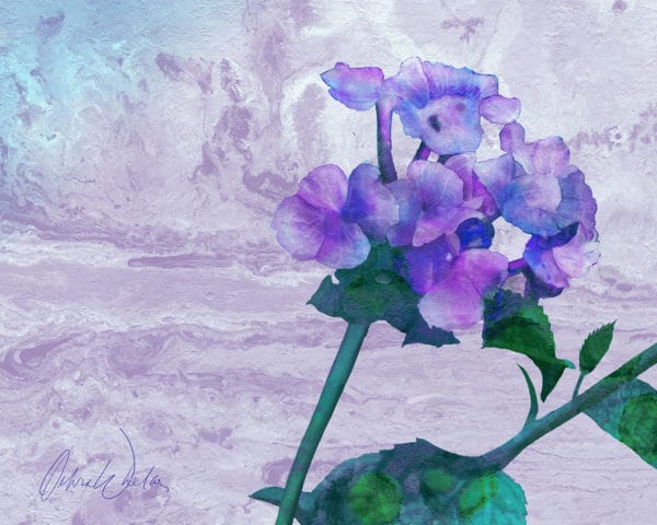 Debra Whelan Art - Single Purple Hydrangea