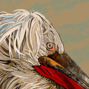 Debra Whelan Art - Pelican