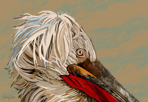 Debra Whelan Art - Pelican