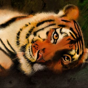 Debra Whelan Art - Sleepy Tiger