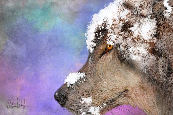 Debra Whelan Art - Northern Lights Snowy Wolf