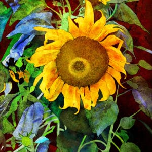 Debra Whelan Art - Autumn Sunflower