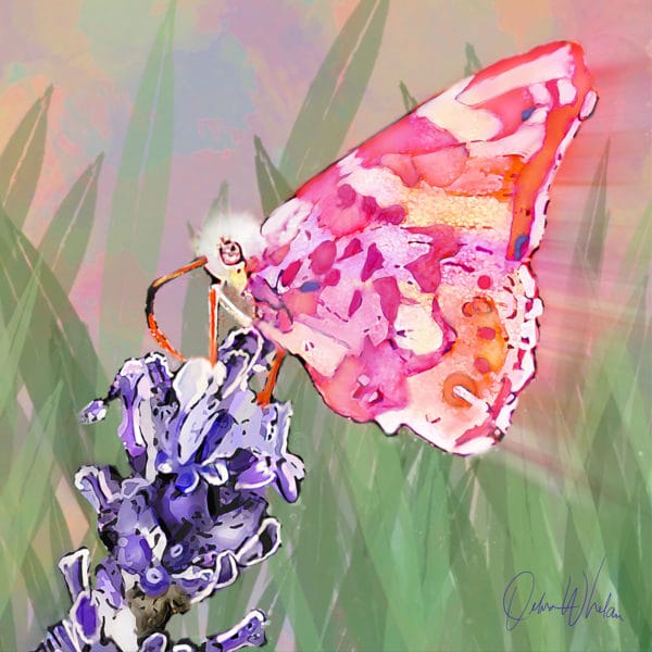 Debra Whelan Art - You Still Give Me Butterflies