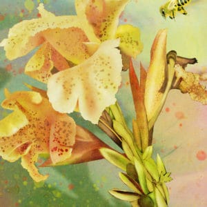 Blissful Honey Bee by Debra Whelan