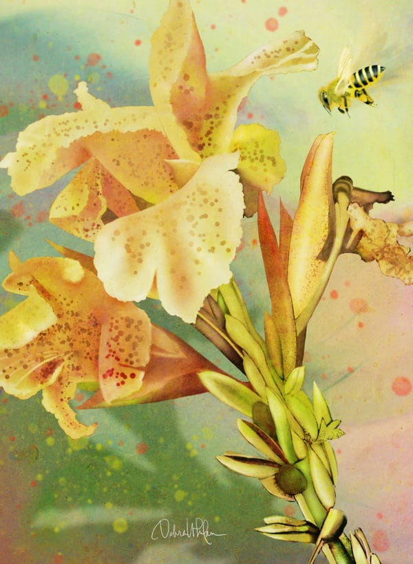 Blissful Honey Bee by Debra Whelan