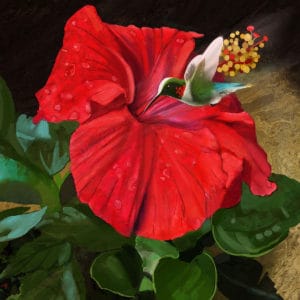 Hibiscus with Hummingbird - Debra Whelan Art