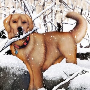 Labrador Winter Scene - Debra Whelan Art