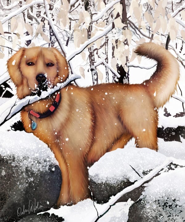 Labrador Winter Scene - Debra Whelan Art