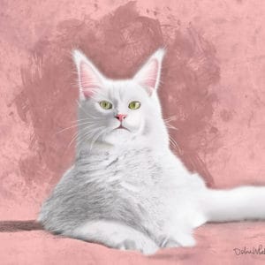 White Maine Coon Cat - Debra Whelan Art